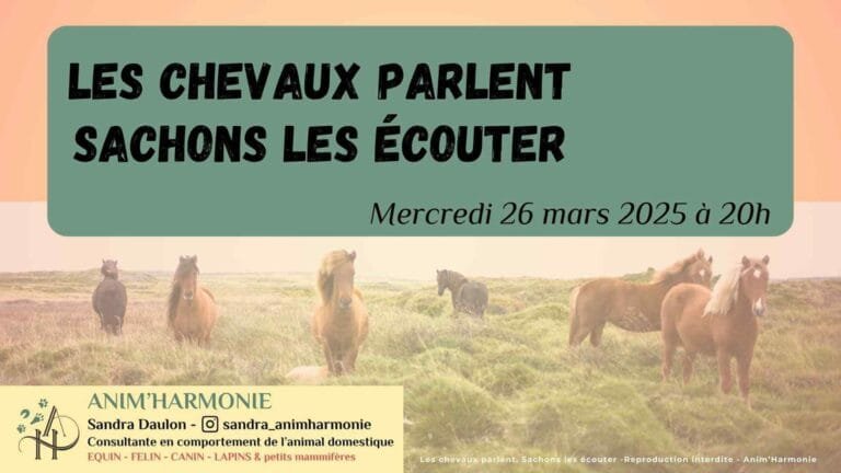 Affiche WEBINAIRE Les chevaux parlent sachons les écouter