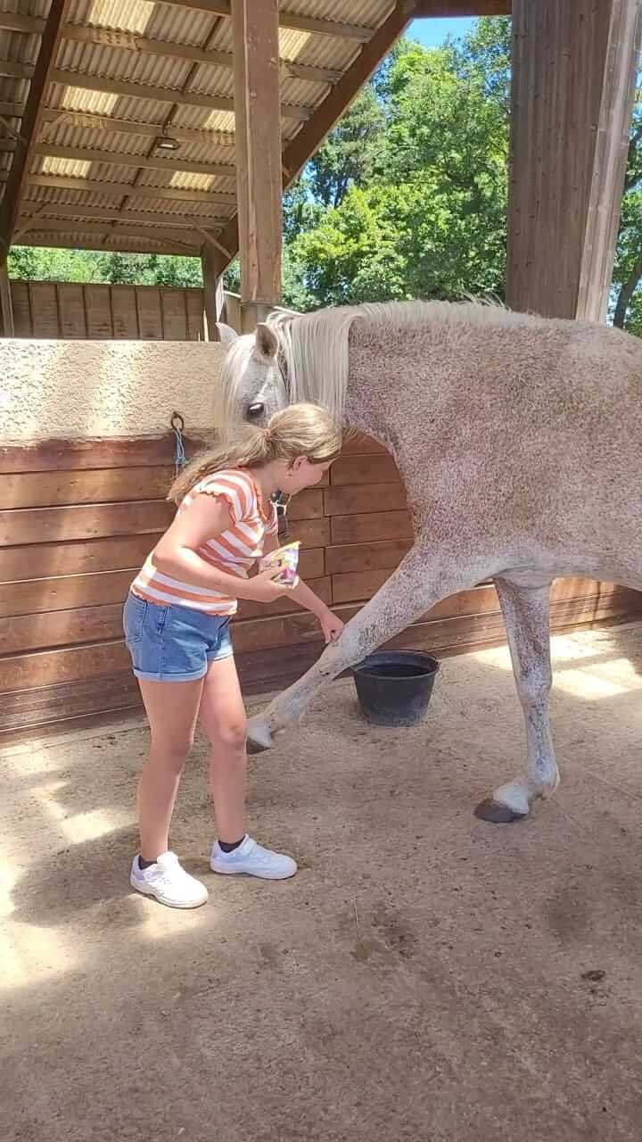 Atelier dans la tête d'un poney check entre une fillette et un cheval