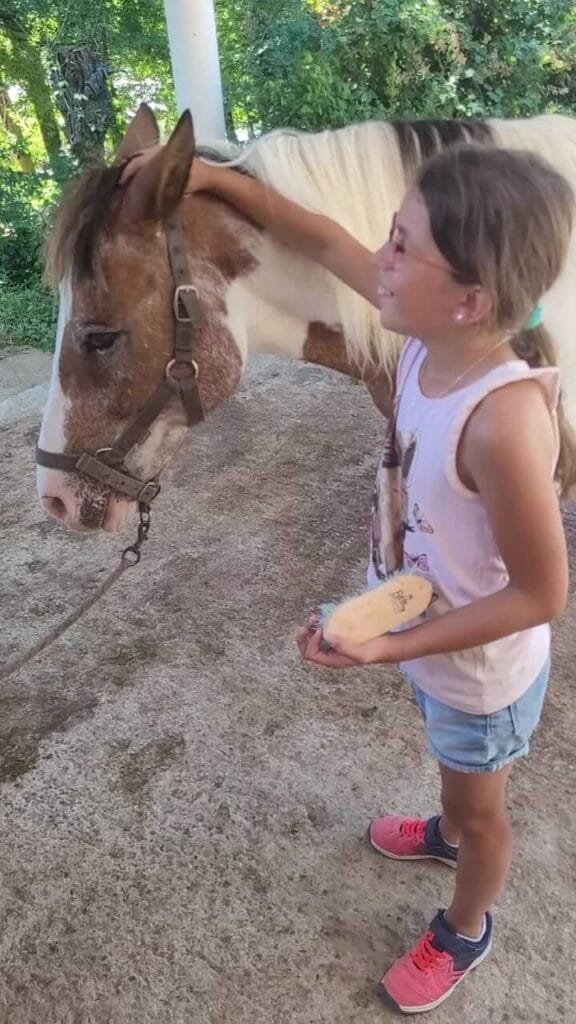 Atelier dans la tête d'un poney gratouille derrière les oreilles d'un poney par une fillette