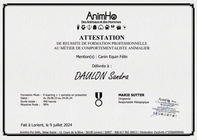 Attestation de réussite AnimHo Sandra Daulon