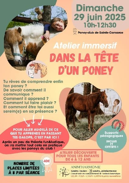 Flyer atelier DANS LA TÊTE D'UN PONEY
