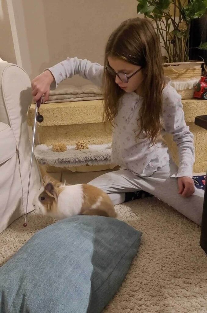 Jeu au clicker et complicité entre une fillette et sa lapine