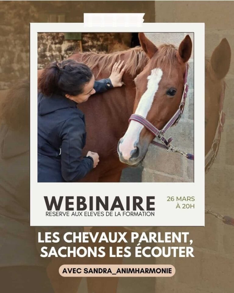 WEBINAIRE Les chevaux parlent sachons les écouter IG