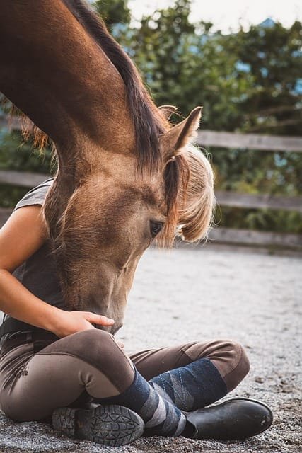 cheval alezan tête nue et basse posant ses naseaux dans les mains d'une adolescente assise en tailleur à ses pieds