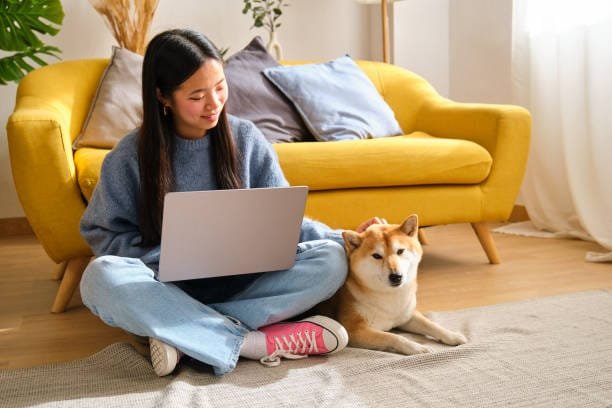 chien type primitif roux couché à côté d'une femme asiatique assise en tailleur avec un ordinateur sur les genoux qui lui caresse la tête besoin de me contacter