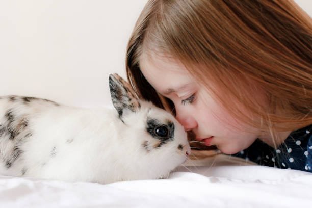 fille blonde qui pose son nez sur le nez d'un lapin blanc aux yeux tachetés