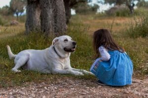 petite fille brune de dos en longue robe bleue accroupie faisant face à un gros chien blanc couché avec un collier