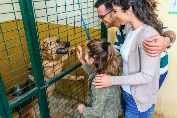 une famille qui se réjouit de l'adoption d'un chien impatient derrière les barreaux d'une cage dans une refuge