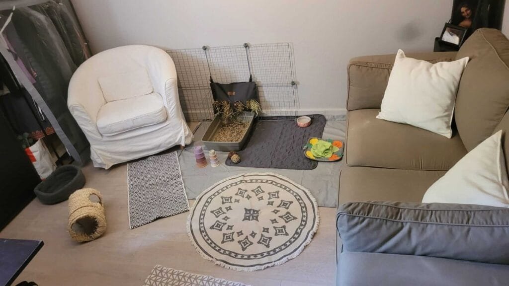 Accueil des NACs à mon domicile 1