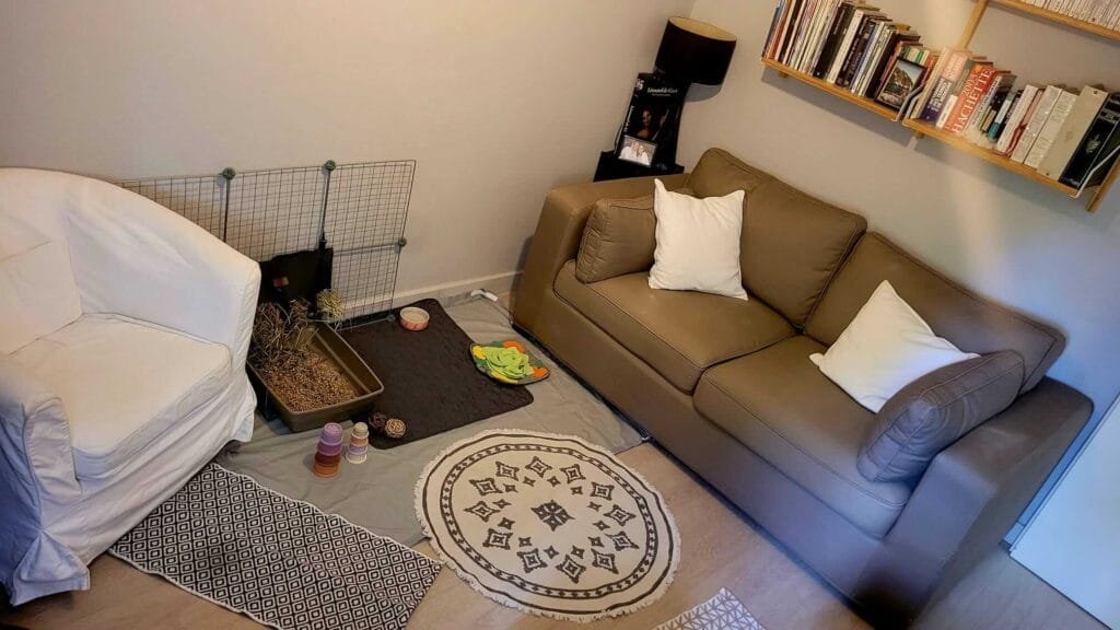 Accueil des NACs à mon domicile 2