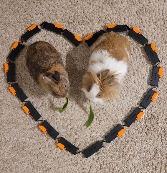 Câline et Flamme cartouches pour les Grandes Oreilles