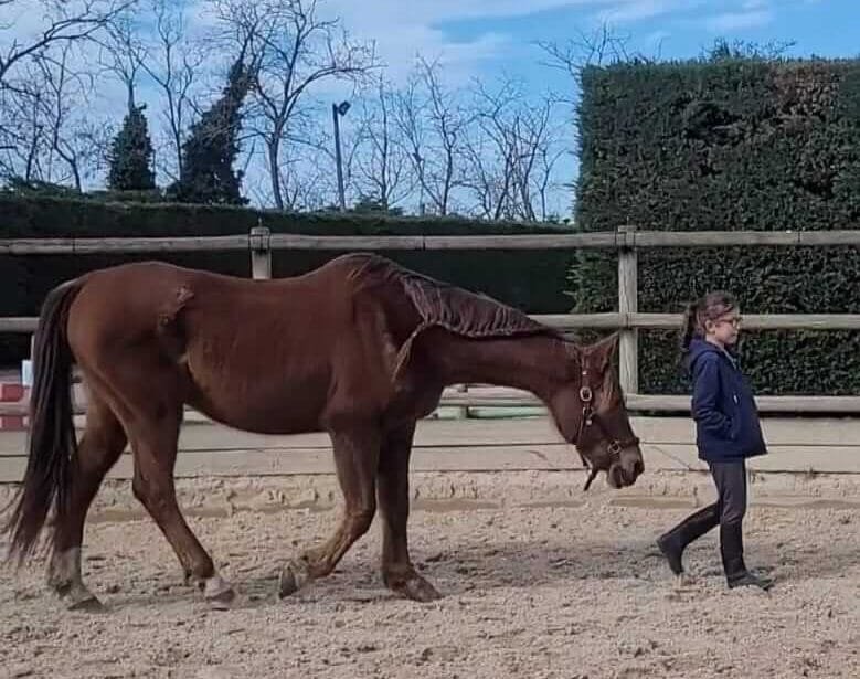 Hourral et Eliana séance connexion et horse sitting
