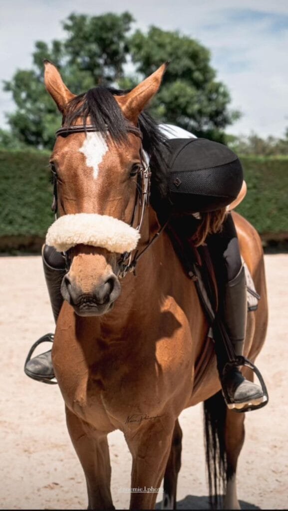 Lola et Jalisca cliente Anim'Harmonie atelier etho cheval