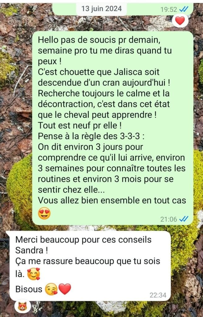 Lola et Jalisca message WhatsApp