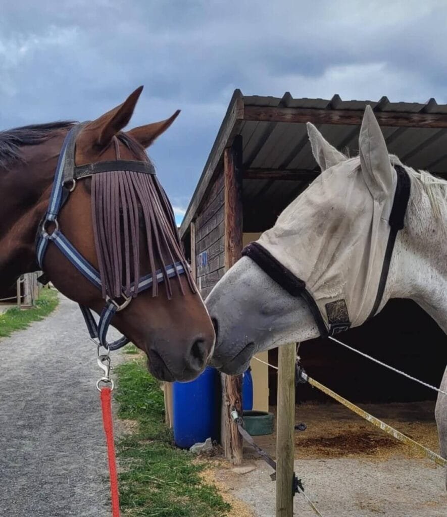 Summer et Jasmine témoignage de Valérie
