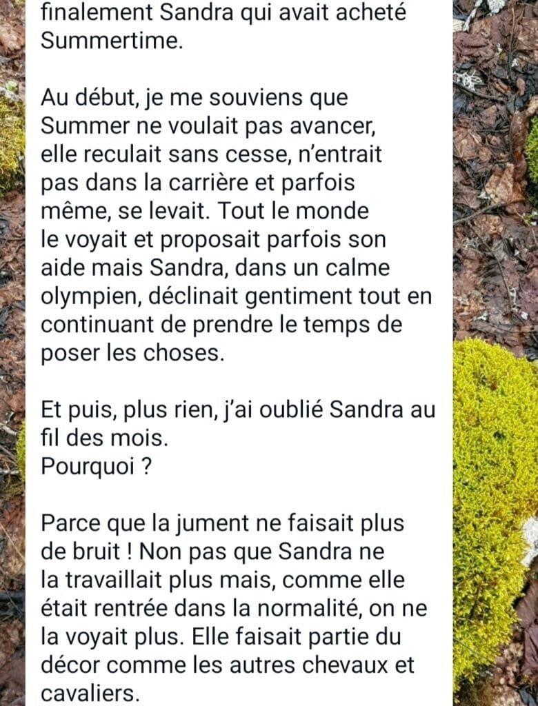 Témoignage Valérie travail de rééducation comportementale chez le cheval 2 sur 4