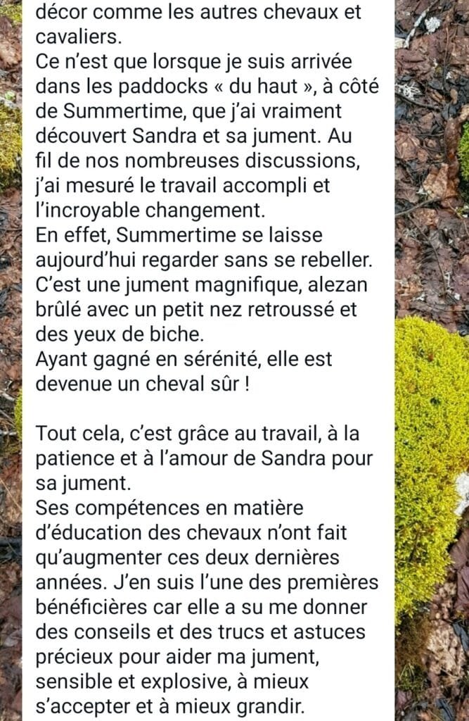Témoignage Valérie travail de rééducation comportementale chez le cheval 3 sur 4