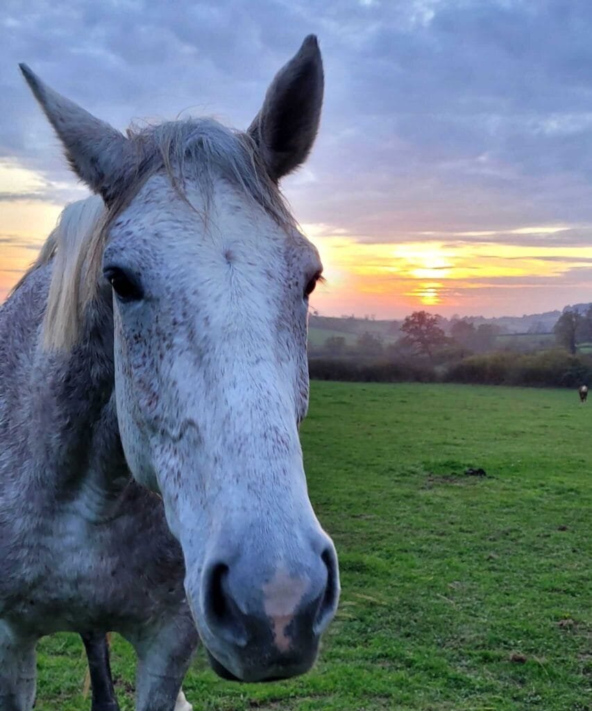 Valérie et Jasmine cliente Anim'Harmonie atelier cheval 2