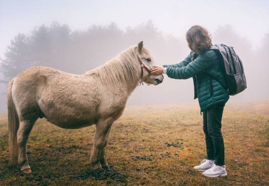 femme avec un sac à dos qui dit au revoir à un poney blanc