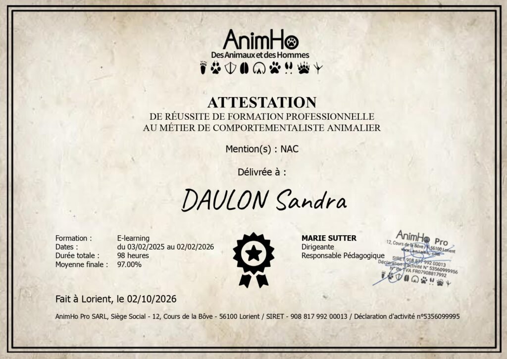 DAULON Sandra - Attestation de Réussite NAC