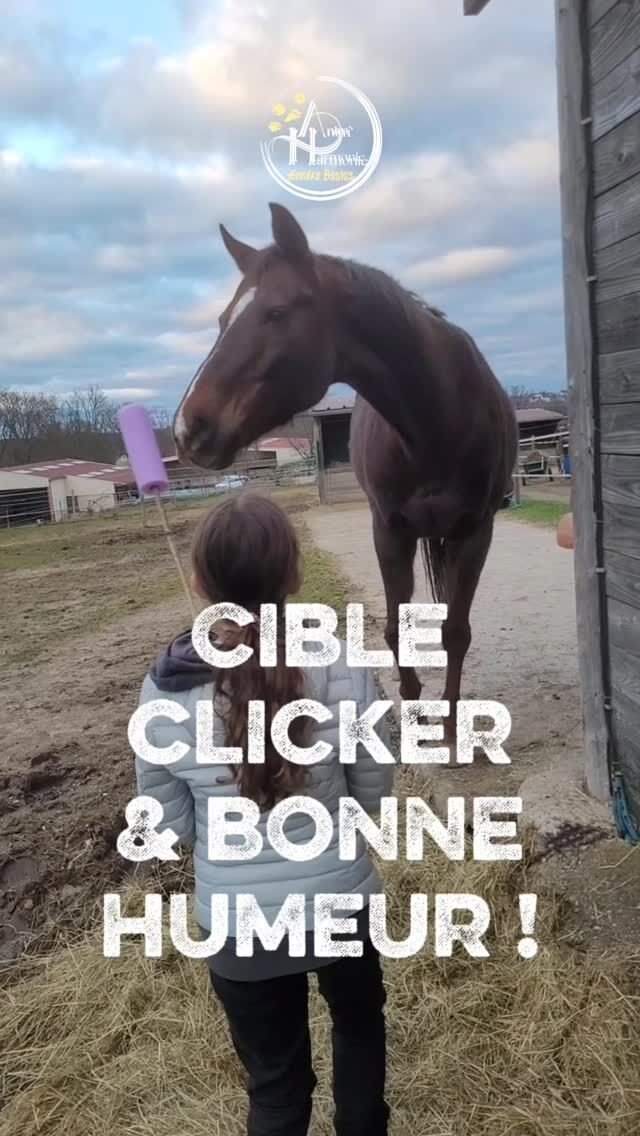 ENFANT, ADOLESCENT, ADULTE, il n'y a pas d'âge pour apprendre à créer du lien avec un animal et à développer une relation si belle qui enrichira les 2 parties ✨️🐾♥️ !Ici avec le cheval 🐴 et une initiation au clicker avec une cible 🎯.
❌️ Pas besoin de connaître l'équitation (qui est une pratique sportive 😉) !
❌️ Pas besoin d'avoir un 🐶, un 🐰 ou un 🐱 non plus dans son foyer, je peux vous en présenter 😊.🔅 Au cours de mes ATELIERS ÉTHOLOGIQUES, vous apprendrez à connaitre l'espèce, découvrir comment elle fonctionne, communique et apprend 🧠 📣👂👀 🖐🏻👅!☯️ Et je vous guiderai pour créer une CONNEXION et un véritable ÉCHANGE inter-espèce RESPECTUEUX des BESOINS et des ÉMOTIONS de chacun.⏳️ Pour qu'humain et animal, CHACUN À SON RYTHME puisse BÉNÉFICIER de tout ce que l'autre peut lui apporter 🫶🏻♻️ !📌 Une telle expérience vous tente ?
Vous hésitez encore à vous lancer ?
Alors une seule solution : me contacter 📲/📧 !
Et nous discuterons ensemble de vos envies, freins éventuels et comment vivre un moment magique, pour vous et/ou votre enfant !#comportementanisteanimalier #comportementalisteequin #comportementalistefelin #comportementalistecanin
#comportementalistelapin