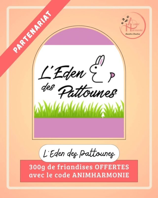 Je suis ravie de vous partager ma collaboration avec 🌿 𝗟’𝗘𝗱𝗲𝗻 𝗱𝗲𝘀 𝗣𝗮𝘁𝘁𝗼𝘂𝗻𝗲𝘀 🌿
@ledendespattounes
une boutique en ligne dédiée
au 𝗯𝗶𝗲𝗻-ê𝘁𝗿𝗲 𝗱𝗲𝘀 𝗹𝗮𝗽𝗶𝗻𝘀 🐰 𝗲𝘁 𝗱𝗲𝘀 𝗿𝗼𝗻𝗴𝗲𝘂𝗿𝘀 🐭🐹.Tout y est pour chouchouter vos petits compagnons à grandes et petites oreilles :🌿 𝗔𝗹𝗶𝗺𝗲𝗻𝘁𝗮𝘁𝗶𝗼𝗻 𝘀𝗮𝗶𝗻𝗲, 𝘀𝗮𝗻𝘀 𝗰é𝗿é𝗮𝗹𝗲𝘀 𝗲𝘁 𝘀û𝗿𝗲
🌿 𝗦é𝗹𝗲𝗰𝘁𝗶𝗼𝗻 𝗾𝘂𝗮𝗹𝗶𝘁𝗮𝘁𝗶𝘃𝗲 𝗲𝘁 𝘀𝗼𝗶𝗴𝗻é𝗲 𝗮𝘃𝗲𝗰 𝘂𝗻 𝘁𝗿è𝘀 𝗹𝗮𝗿𝗴𝗲 𝗰𝗵𝗼𝗶𝘅
🌿 𝗔𝗰𝗰𝗲𝘀𝘀𝗼𝗶𝗿𝗲𝘀 𝗲𝘁 𝗷𝗼𝘂𝗲𝘁𝘀 𝗿𝗲𝘀𝗽𝗲𝗰𝘁𝘂𝗲𝘂𝘅 𝗱𝗲𝘀 𝗯𝗲𝘀𝗼𝗶𝗻𝘀 é𝘁𝗵𝗼𝗹𝗼𝗴𝗶𝗾𝘂𝗲𝘀 𝗱𝗲𝘀 🐰🐹🐭
🌿 𝗟𝗶𝘃𝗿𝗮𝗶𝘀𝗼𝗻 𝗿𝗮𝗽𝗶𝗱𝗲 à domicile ou en relais
🌿 𝗦𝗲𝗿𝘃𝗶𝗰𝗲 𝗮𝗽𝗿è𝘀-𝘃𝗲𝗻𝘁𝗲 𝗿é𝗮𝗰𝘁𝗶𝗳 𝗲𝘁 𝘀é𝗿𝗶𝗲𝘂𝘅🔆 𝗔𝗺é𝗹𝗶𝗼𝗿𝗲𝘇 𝘃𝗼𝘂𝘀 𝗮𝘂𝘀𝘀𝗶 𝗹𝗲 𝗾𝘂𝗼𝘁𝗶𝗱𝗶𝗲𝗻 𝗱𝗲 𝘃𝗼𝘁𝗿𝗲 𝗹𝗮𝗽𝗶𝗻 𝗼𝘂 𝘃𝗼𝘁𝗿𝗲 𝗿𝗼𝗻𝗴𝗲𝘂𝗿 grâce à notre partenariat tout en profitant d’un 𝗽𝗲𝘁𝗶𝘁 𝗰𝗮𝗱𝗲𝗮𝘂 🎁 :=> Avec le code : 𝗔𝗡𝗜𝗠𝗛𝗔𝗥𝗠𝗢𝗡𝗜𝗘Vous bénéficierez d’un 𝘀𝗮𝗰𝗵𝗲𝘁 𝗱𝗲 300 𝗴 𝗱𝗲 𝗳𝗿𝗶𝗮𝗻𝗱𝗶𝘀𝗲𝘀 𝗻𝗮𝘁𝘂𝗿𝗲𝗹𝗹𝗲𝘀 𝗢𝗙𝗙𝗘𝗥𝗧𝗘𝗦
sur votre 1èrecommande !#partenariat #comportementdu lapin #monlapinnain #cohabitationlapin #monlapinmonamour