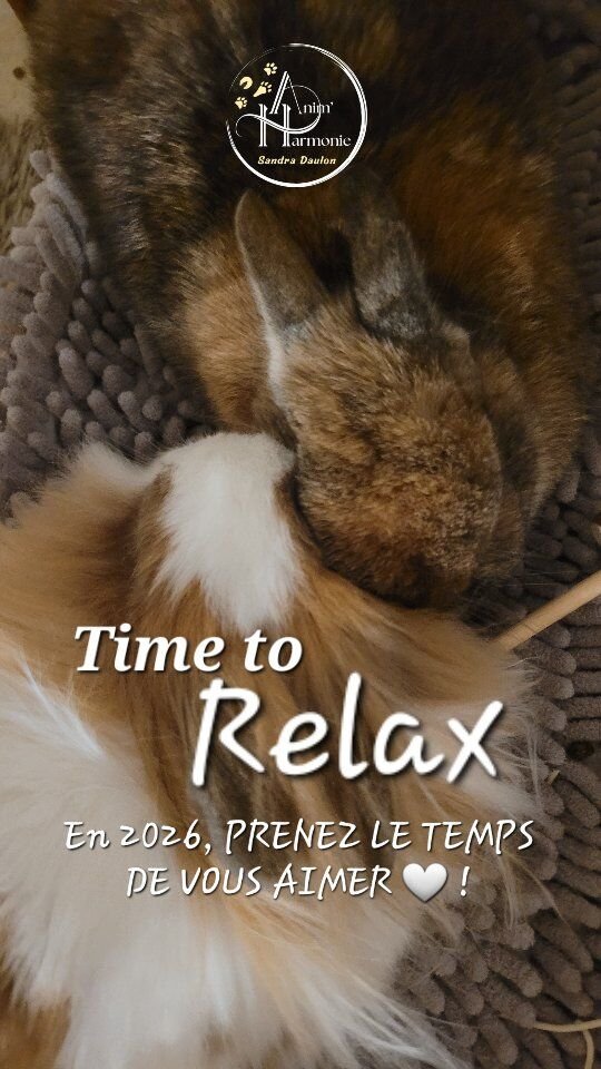 En 2026, PRENEZ LE TEMPS DE VOUS AIMER 🐾🤍 !💯 Si DÉVELOPPER la RELATION ou RÉSOUDRE des COMPORTEMENTS GÊNANTS de son animal prend du temps ⏳️... ce sera + simple et plaisant en passant par les 5 LANGAGES DE L'AMOUR ♥️ !💡Mais.... KESAKO ?☆ Des PAROLES douces, positives, toujours soutenantes et encourageantes 💋.☆ Des MOMENTS de QUALITÉ, en conscience et générateurs d'émotions positives pour renforcer la confiance ✨️ !☆ Des AMÉNAGEMENTS de L'ENVIRONNEMENT pour répondre aux besoins de l'espèce qui seront de vrais CADEAUX pour eux 🎁 !☆ Une MEILLEURE LECTURE du LANGAGE CORPOREL et de L'ÉTAT ÉMOTIONNEL associé 🔎 pour être un RÉFÉRENT de CONFIANCE 🔥 pour lui, auprès duquel il se sent toujours SOUTENU et qui pourra l'aider à trouver des SOLUTIONS 🧰⚒️.☆ Un CONTACT PHYSIQUE respectueux de son intégrité physique et émotionnelle 🙏🏻, de ses préférences et avec son CONSENTEMENT 🫶🏻.~~~~~~~~~~~~~~~~~~~~~~~~~~~~~~~~~~~~~~~~~
=》Ce programme te fait envie 🤩 ? Contacte-moi pour mettre cela en place avec ton 🐕🐈🐎🐇 !
Je peux t'accompagner, en présentiel ou en visio 🙋🏻‍♀️✨️🐾#bienetreanimal #comportementalisteanimalier #adoptdontshop #monchienmonamour #comportementduchat #comportementalistecanin
#comportementalistefelin
#comportementalisteequin
#comportementalistelapin #comportementdulapin
#monlapinnain
#rabbitlover
#monchevalmavie
#monchatmonamour
#comportementduchien
#comportementducheval
#methodespositives
#educationpositive