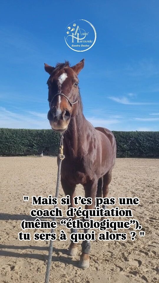 👉 En tant que COMPORTEMENTALISTE ÉQUIN 🐴, je ne suis PAS LÀ👎🏻… pour vous dire que votre jambe est flottante et que vos mains doivent être plus basses,👎🏻… ni commenter la qualité de votre assiette ou la rectitude de votre cheval dans le couloir des aides,👎🏻… pas plus que vous recommander un enchainement d’apprentissages précis,👎🏻… ou d’utiliser tel code plutôt que tel autre pour obtenir tel résultat.▶️ En tant que SPÉCIALISTE en ÉTHOLOGIE et BIEN-ÊTRE ÉQUIN et EXPERTE de la RELATION HUMAIN-ANIMAL, je suis là pour✅️ VOUS AIDER à comprendre :✔️ Le message derrière un comportement 📨
… et comment un cheval apprend et communique 🧠✔️ L’impact de vos actions qui peuvent agir comme renforçateur ou punition ♻️
… et leurs conséquences sur son état émotionnel ✨️✅️ Mais aussi à décoder :✔️ Les micro signaux avant que cela dégénère 🧨
… ce qu’il faut mettre en place pour que cela n’arrive plus 🕊-✔️ Son besoin de décontraction et de faire une pause ⏸️
… pour que coopérer vous aide tous les 2 à gagner en sécurité et sérénité 🧘‍♀️Et ce :♥️… en respectant son intégrité physique et émotionnelle,
☮️… sans escalade ni rapport de force,
⚖️… avec cohérence et constance dans vos demandes,
🧭… en limitant au maximum les contraintes et en lui donnant un maximum de choix
🔆… en faisant grandir votre connexion et embellissant votre relation !🎯 Je ne suis pas une psy, ni une magicienne, mais ensemble, nous pouvons trouver des leviers pour rendre ses apprentissages plus confortables pour produire un comportement et l’accompagner vers des routines plus agréables… pour tous 🫶🏻🐎 !#comportementalisteequin #comportementalisteanimalier #comportementalisteducheval #comportementducheval #equitationethologique #equitation #monchevalmavie #methodespositives #bienveillanceeducative #bienetreanimal #bienetreducheval #bienetreequin