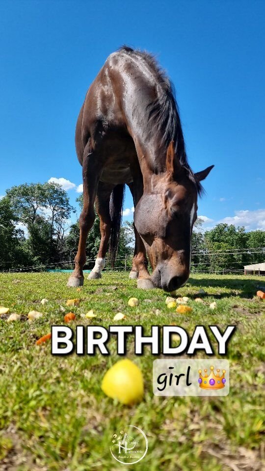 👑 𝗕𝗜𝗥𝗧𝗛𝗗𝗔𝗬 𝗚𝗜𝗥𝗟 🐎🎂🥕🍎🍐🍌🍏 !16 ans de vie aujourd'hui pour ma Summer 🕯🥹 !... même pas encore 5 dans la mienne mais notre rencontre... c'était écrit ❤️.𝗘𝗹𝗹𝗲 𝗮 𝘁𝗿𝗮𝗻𝘀𝗳𝗼𝗿𝗺é 𝗹𝗮 𝗺𝗶𝗲𝗻𝗻𝗲, 𝗷'𝗮𝗶 𝘁𝗿𝗮𝗻𝘀𝗳𝗼𝗿𝗺é 𝗹𝗮 𝘀𝗶𝗲𝗻𝗻𝗲.
𝗠𝘂𝘁𝘂𝗲𝗹𝗹𝗲𝗺𝗲𝗻𝘁 𝗻𝗼𝘂𝘀 𝗻𝗼𝘂𝘀 𝘀𝗼𝗺𝗺𝗲𝘀 𝗴𝘂é𝗿𝗶𝗲𝘀, é𝗽𝗮𝗻𝗼𝘂𝗶𝗲𝘀, 𝗿é𝘃é𝗹é𝗲𝘀.Il n'y a pas de hasard, que des RDV j'en suis certaine 🥰.𝗡𝗼𝘁𝗿𝗲 𝗵𝗶𝘀𝘁𝗼𝗶𝗿𝗲 𝗲𝘀𝘁 𝗱é𝗷à 𝘁𝗲𝗹𝗹𝗲𝗺𝗲𝗻𝘁 𝗯𝗲𝗹𝗹𝗲 📜🫶🏻, 
Je ne sais pas où nous mèneront nos prochaines aventures, mais une chose est sûre :𝗝𝗲 𝗳𝗲𝗿𝗮𝗶 𝘁𝗼𝘂𝘁 𝗽𝗼𝘂𝗿 𝗺'𝗮𝘀𝘀𝘂𝗿𝗲𝗿 𝗱𝗲 𝘁𝗼𝗻 𝗯𝗼𝗻𝗵𝗲𝘂𝗿 𝗲𝘁 𝘁𝗼𝗻 𝗯𝗶𝗲𝗻-ê𝘁𝗿𝗲 𝗽𝗼𝘂𝗿 𝗮𝘂 𝗺𝗼𝗶𝗻𝘀 𝗹𝗲𝘀 20 𝗽𝗿𝗼𝗰𝗵𝗮𝗶𝗻𝗲𝘀 𝗮𝗻𝗻é𝗲𝘀 🐴 💞 !#bienetreanimal #comportementalistecheval #comportementalisteequin #rehabilitationcomportementale #methodespositives