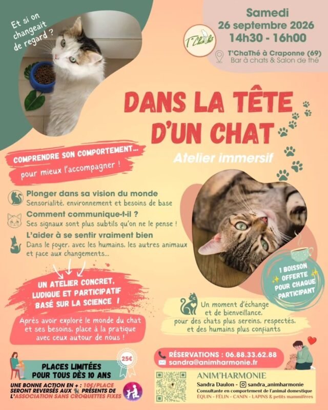✨ Et si vous entriez vraiment… 𝗱𝗮𝗻𝘀 𝗹𝗮 𝘁ê𝘁𝗲 𝗱’𝘂𝗻 𝗰𝗵𝗮𝘁 🐈?Pas celui que l’on imagine.
Pas celui que l’on projette.
Mais 𝗰𝗲𝗹𝘂𝗶 𝗾𝘂’𝗶𝗹 𝗲𝘀𝘁, 𝗽𝗿𝗼𝗳𝗼𝗻𝗱é𝗺𝗲𝗻𝘁, 𝗱𝗮𝗻𝘀 𝘀𝗮 𝗺𝗮𝗻𝗶è𝗿𝗲 𝗱𝗲 𝗿𝗲𝘀𝘀𝗲𝗻𝘁𝗶𝗿, 𝗱𝗲 𝗰𝗼𝗺𝗺𝘂𝗻𝗶𝗾𝘂𝗲𝗿, 𝗱’ê𝘁𝗿𝗲 𝗮𝘂 𝗺𝗼𝗻𝗱𝗲.👀 Lors de cet 𝗮𝘁𝗲𝗹𝗶𝗲𝗿 𝗶𝗺𝗺𝗲𝗿𝘀𝗶𝗳 où je vous prêterai 𝗺𝗲𝘀 𝘆𝗲𝘂𝘅 𝗱𝗲 𝗰𝗼𝗺𝗽𝗼𝗿𝘁𝗲𝗺𝗲𝗻𝘁𝗮𝗹𝗶𝘀𝘁𝗲 𝗳é𝗹𝗶𝗻, je vous invite à changer de regard.
À 𝗿𝗮𝗹𝗲𝗻𝘁𝗶𝗿.
À 𝗼𝗯𝘀𝗲𝗿𝘃𝗲𝗿 𝗮𝘂𝘁𝗿𝗲𝗺𝗲𝗻𝘁.
À 𝗿𝗲𝘀𝘀𝗲𝗻𝘁𝗶𝗿 𝗮𝘂𝘀𝘀𝗶.🧠 Vous découvrirez 𝗰𝗼𝗺𝗺𝗲𝗻𝘁 𝗹𝗲 𝗰𝗵𝗮𝘁 𝗽𝗲𝗿ç𝗼𝗶𝘁 𝘀𝗼𝗻 𝗲𝗻𝘃𝗶𝗿𝗼𝗻𝗻𝗲𝗺𝗲𝗻𝘁,
𝗰𝗲 𝗾𝘂𝗶 𝗳𝗮𝗶𝘁 𝘀𝗲𝗻𝘀 𝗽𝗼𝘂𝗿 𝗹𝘂𝗶,
𝗰𝗼𝗺𝗺𝗲𝗻𝘁 𝗶𝗹 𝗮𝗽𝗽𝗿𝗲𝗻𝗱,
et surtout… 𝗰𝗼𝗺𝗺𝗲𝗻𝘁 𝗲𝗻𝘁𝗿𝗲𝗿 𝗲𝗻 𝗿𝗲𝗹𝗮𝘁𝗶𝗼𝗻 𝗮𝘃𝗲𝗰 𝗹𝘂𝗶 𝗱𝗲 𝗺𝗮𝗻𝗶è𝗿𝗲 𝗷𝘂𝘀𝘁𝗲, 𝗿𝗲𝘀𝗽𝗲𝗰𝘁𝘂𝗲𝘂𝘀𝗲 𝗲𝘁 𝗮𝗽𝗮𝗶𝘀é𝗲.🌿 Un temps pour 𝗖𝗢𝗠𝗣𝗥𝗘𝗡𝗗𝗥𝗘
🌿 Un temps pour 𝗘𝗫𝗣É𝗥𝗜𝗠𝗘𝗡𝗧𝗘𝗥
🌿 Un temps pour 𝗖𝗥É𝗘𝗥 𝗗𝗨𝗟𝗜𝗘𝗡, 𝗲𝗻 𝗖𝗢𝗡𝗦𝗖𝗜𝗘𝗡𝗖𝗘Après une 𝗮𝗽𝗽𝗿𝗼𝗰𝗵𝗲 𝗹𝘂𝗱𝗶𝗾𝘂𝗲 𝗲𝘁 𝗮𝗰𝗰𝗲𝘀𝘀𝗶𝗯𝗹𝗲, nous passerons à la 𝗽𝗿𝗮𝘁𝗶𝗾𝘂𝗲 avec les chats de l'association @sanscroquettesfixes présents (et consentants !) sur place… pour 𝘃𝗶𝘃𝗿𝗲, et non seulement comprendre.💫 𝗤𝘂𝗲 𝘃𝗼𝘂𝘀 𝘃𝗶𝘃𝗶𝗲𝘇 𝗮𝘃𝗲𝗰 𝘂𝗻 𝗰𝗵𝗮𝘁 𝗼𝘂 𝗾𝘂𝗲 𝘃𝗼𝘂𝘀 𝘀𝗼𝘂𝗵𝗮𝗶𝘁𝗶𝗲𝘇 𝘀𝗶𝗺𝗽𝗹𝗲𝗺𝗲𝗻𝘁 𝗺𝗶𝗲𝘂𝘅 𝗹𝗲𝘀 𝗰𝗼𝗺𝗽𝗿𝗲𝗻𝗱𝗿𝗲, 𝗰𝗲𝘁 𝗮𝘁𝗲𝗹𝗶𝗲𝗿 𝗲𝘀𝘁 𝘂𝗻𝗲 𝗶𝗻𝘃𝗶𝘁𝗮𝘁𝗶𝗼𝗻 à 𝘂𝗻𝗲 𝗿𝗲𝗻𝗰𝗼𝗻𝘁𝗿𝗲 𝗱𝗶𝗳𝗳é𝗿𝗲𝗻𝘁𝗲.𝗨𝗻𝗲 𝗿𝗲𝗻𝗰𝗼𝗻𝘁𝗿𝗲 𝗾𝘂𝗶 𝘁𝗿𝗮𝗻𝘀𝗳𝗼𝗿𝗺𝗲 𝘃𝗼𝘁𝗿𝗲 𝗿𝗲𝗴𝗮𝗿𝗱… 𝗲𝘁 𝘃𝗼𝘁𝗿𝗲 𝗹𝗶𝗲𝗻 🫶🏻.📅 Date : Samedi 26 septembre 2026
🕝 Heure : 14h30-16h00
📍 Lieu : T'ChaThé @tchathe.cat le bar à chats, salon de thé et thé en vrac bio sur Craponne (69290)
🎯 À partir de 10 ans
🐾 Places limitées pour le bien-être de tous dans les échanges
💰 Participation : 25€ - dont 10€ sont reversés aux chats à l'adoption présents sur place pour l'association @sanscroquettesfixes𝗥𝗲𝗻𝘀𝗲𝗶𝗴𝗻𝗲𝗺𝗲𝗻𝘁𝘀 𝗲𝘁 𝗿é𝘀𝗲𝗿𝘃𝗮𝘁𝗶𝗼𝗻𝘀 :
📩 en commentaire/message privé
📞 06.88.33.62.88
📧 sandra@animharmonie.fr