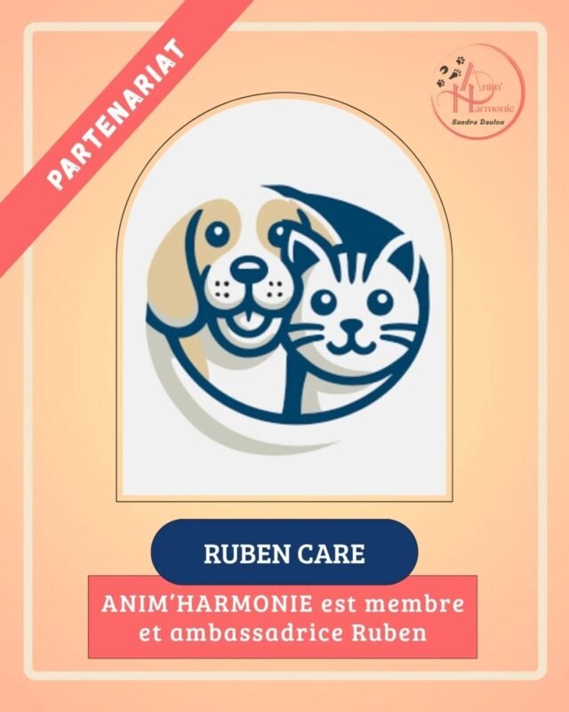 𝗕𝗲𝘀𝗼𝗶𝗻 𝗱𝗲 𝗴𝗮𝗿𝗱𝗲 𝗱𝗲 𝘃𝗼𝘁𝗿𝗲 𝗰𝗵𝗶𝗲𝗻 𝗼𝘂 𝗱𝗲 𝘃𝗼𝘁𝗿𝗲 𝗰𝗵𝗮𝘁 𝗲𝗻 𝗱𝗲𝗿𝗻𝗶è𝗿𝗲 𝗺𝗶𝗻𝘂𝘁𝗲 ⏳🙀 ?𝗙𝗶𝗻𝗶 𝗹’𝗮𝗻𝗴𝗼𝗶𝘀𝘀𝗲 💥 !
➡️ Ruben Care saura répondre à votre urgence
en trouvant un professionnel de confiance 🐈🐈‍⬛🐕🐩 !✨ 𝗘𝗻 𝘁𝗮𝗻𝘁 𝗾𝘂𝗲 𝗽𝗿𝗼𝗳𝗲𝘀𝘀𝗶𝗼𝗻𝗻𝗲𝗹𝗹𝗲 
𝗲𝘁 𝗮𝗺𝗯𝗮𝘀𝘀𝗮𝗱𝗿𝗶𝗰𝗲 𝗥𝘂𝗯𝗲𝗻 🐾,
📆 𝗷𝗲 𝘀𝗮𝘂𝗿𝗮𝗶 𝗺𝗲 𝗿𝗲𝗻𝗱𝗿𝗲 𝗱𝗶𝘀𝗽𝗼𝗻𝗶𝗯𝗹𝗲
pour vous soulager de l’inquiétude générée
par le fait de devoir confier votre animal en urgence…
et cela en toute confiance ❤️ !⚠️𝗩𝗼𝘀 𝗱𝗲𝗺𝗮𝗻𝗱𝗲𝘀 𝗱𝗲 𝗴𝗮𝗿𝗱𝗲 𝗲𝗻 𝘂𝗿𝗴𝗲𝗻𝗰𝗲 𝘀𝗼𝗻𝘁 à 𝗳𝗮𝗶𝗿𝗲 𝗱𝗶𝗿𝗲𝗰𝘁𝗲𝗺𝗲𝗻𝘁 𝗲𝗻 𝗹𝗶𝗴𝗻𝗲 𝘀𝘂𝗿 𝗹𝗲 𝘀𝗶𝘁𝗲 :
https://ruben.care/Benjamin Winckell vous réorientera très rapidement vers moi ou vers le professionnel du réseau disponible le plus proche de chez vous !#petsitterlyon #petsitterlife #gardeanimallyon #gardeanimauxlyonouest #gardeanimallyonouest