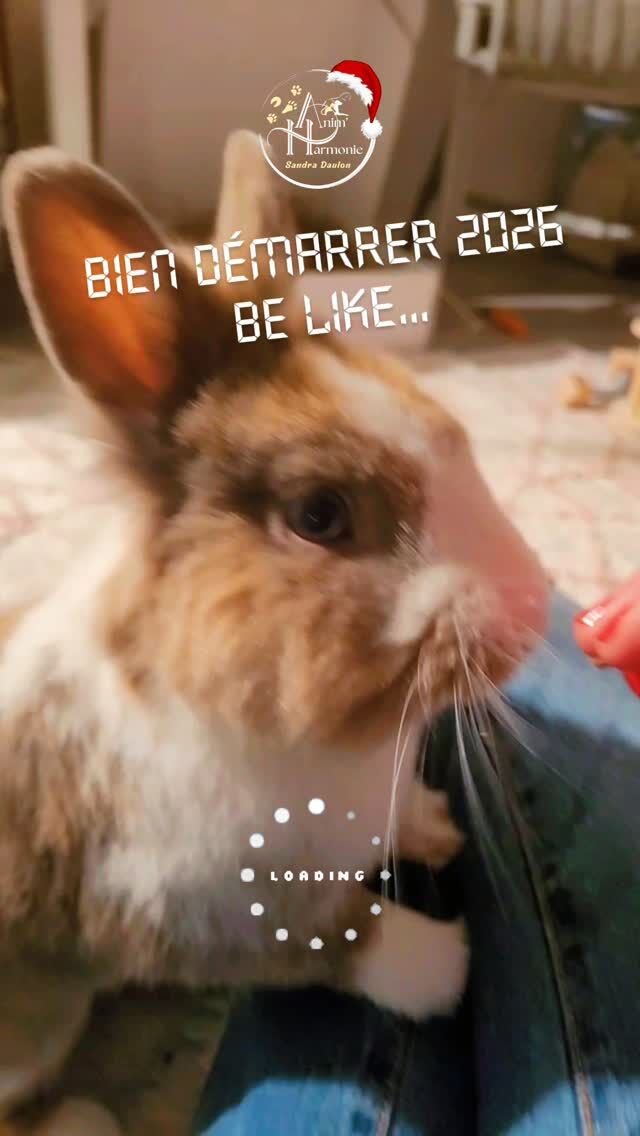 Je vous souhaite de démarrer cette nouvelle année 2026 riches d'une BELLE ÉNERGIE comme ce petit Filou 🐰 🤩🚀 !Que ce point de départ d'un nouveau cycle de 9 ans puisse vous faire gagner en LÉGÈRETÉ, SÉRÉNITÉ et JOIE PARTAGÉE de vivre ensemble ✨️🐾 !Encore une fois MERCI INFINIMENT de me faire confiance pour vous accompagner avec vos 🐕🐈🐎🐇🤫 C'est l'année de la SPA dixit ma fille 😂 où l'on se souhaite Santé ❤️‍🔥 Paix 🕊 et Amouuuuur ♥️#bienetreanimal #comportementalisteanimalier #comportementduchat #comportementalistecanin #comportementalisteequin #stopabandon #comportementalistefelin #comportementalistelapin #comportementalisteequin #monlapinnain #monchienmonamour #methodespositives #catlover #dogwalker #petsitterslife❤️