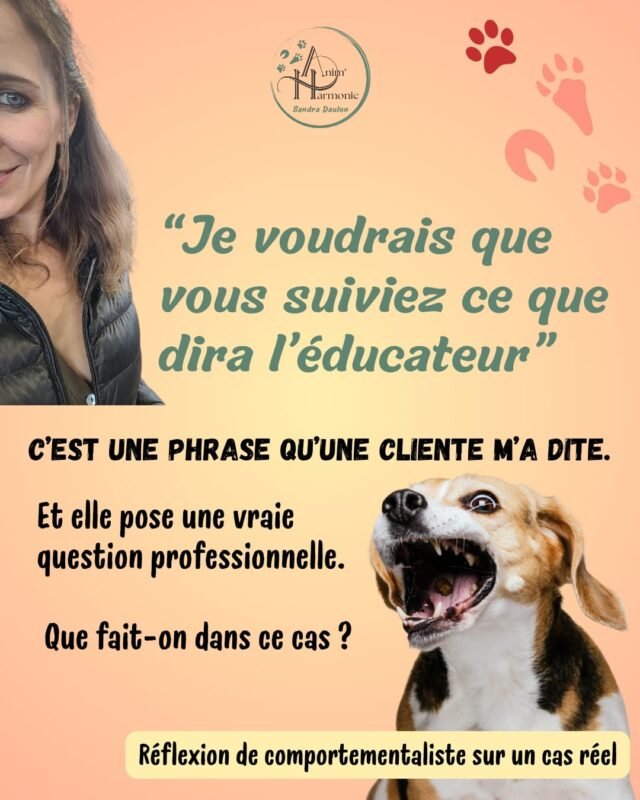 𝗗𝗲𝘂𝘅 𝗽𝗿𝗼𝗳𝗲𝘀𝘀𝗶𝗼𝗻𝗻𝗲𝗹𝘀.
𝗨𝗻 𝗺ê𝗺𝗲 𝗰𝗵𝗶𝗲𝗻.
Et parfois…
des attentes très différentes.C’est une situation que beaucoup de comportementalistes et d’éducateurs rencontrent.🐶 Dans ce cas précis, une cliente m’a demandé de “suivre ce que dira l’éducateur” qu’elle consultera en parallèle.Et cela pose une vraie question professionnelle.
Pas parce qu’il y a plusieurs intervenants, non !Mais parce que pour un chien, 𝗹𝗮 𝗰𝗼𝗵é𝗿𝗲𝗻𝗰𝗲 𝗲𝘀𝘁 𝗲𝘀𝘀𝗲𝗻𝘁𝗶𝗲𝗹𝗹𝗲.Des approches contradictoires peuvent parfois créer :
• de la confusion
• du stress
• ou ralentir les progrès.💡Pour moi, la solution la plus saine reste toujours la même :
➡️ 𝗹𝗮 𝗰𝗼𝗹𝗹𝗮𝗯𝗼𝗿𝗮𝘁𝗶𝗼𝗻 𝗲𝗻𝘁𝗿𝗲 𝗽𝗿𝗼𝗳𝗲𝘀𝘀𝗶𝗼𝗻𝗻𝗲𝗹𝘀, 𝘂𝗻𝗲 𝘃𝗿𝗮𝗶𝗲 𝗿𝗶𝗰𝗵𝗲𝘀𝘀𝗲 !Quand elle est possible, elle est souvent extrêmement bénéfique pour le chien et pour l’humain.𝗠𝗮𝗶𝘀 𝗲𝗹𝗹𝗲 𝗳𝗼𝗻𝗰𝘁𝗶𝗼𝗻𝗻𝗲 𝘀𝗲𝘂𝗹𝗲𝗺𝗲𝗻𝘁 𝗮𝘃𝗲𝗰 :
🤝 communication
🤝 respect mutuel
🤝 et une vision commune centrée sur le chien.🐾 𝗣𝗮𝗿𝘁𝗶𝗰𝘂𝗹𝗶𝗲𝗿𝘀 𝗲𝘁 𝗽𝗿𝗼𝗳𝗲𝘀𝘀𝗶𝗼𝗻𝗻𝗲𝗹𝘀 𝗱𝘂 𝗰𝗼𝗺𝗽𝗼𝗿𝘁𝗲𝗺𝗲𝗻𝘁 :
Comment gérez-vous ces situations ?
Travaillez-vous facilement avec d’autres éducateurs ou professionnels animaliers ?
Avez-vous déjà vécu ce type de demande d’un client ?Je serais curieux de lire vos retours d'expériences en commentaire ou en mp !#educateurcanin
#comportementalistecanin
#metiersduchien
#educationcanine
#comportementcanin