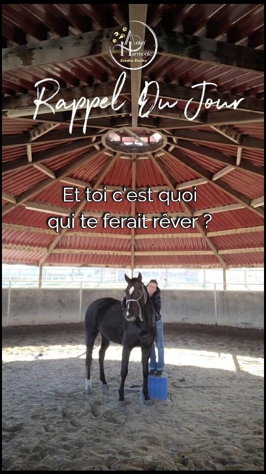 ✨️ Rappel du jour ✨️Ne te presse pas.
Certaines choses
prennent du temps
pour bien se placer.Apaisement général,
respect et amour
seront tes meilleurs alliés
pour y arriver.Et toi,
c'est quoi
qui te ferait rêver ?~~~~~~~~~~~~~~~~~~~~~~~~~~~~~~~~~~~~~~~
Je peux t'accompagner pour y arriver,
Sans cris, sans violence, sans stress,
Avec bienveillance, respect et sans jugement,
Où les émotions ne sont pas une option,
Où une relation belle et forte se développera,
Pour des résultats pérennes et un binôme apaisé.Contacte-moi en mp pour en discuter 🫶🏻🐾✨️ !~~~~~~~~~~~~~~~~~~~~~~~~~~~~~~~~~~~~~~~
##bienetreanimal #comportementalisteanimalier #comportementalistefelin  #comportementalistecanin #comportementalistelapin #comportementalisteequin
#comportementdulapin #monchienmonamour #adoptionlapin #adoptdontshop
#comportementduchat #comportementdulapin #comportementduchien #comportementducheval #educationpositive #bienveillance #petlover #animallover #bienetreducheval #bienetreduchat #bienetreduchien #bienetredulapin