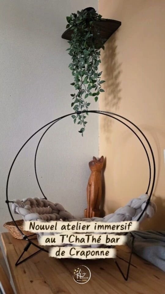 🐈 Nouvel atelier immersif basé sur la science et les méthodes positives aujourd'hui au @tchathe.cat bar à chats et salon de thés sur Craponne (📍69) au profit de l'association @sanscroquettesfixes." Dans la Tête d'un Chat 🐱 "🤓 Des chassistants impliqués dans l'installation... et le déroulé 😹 !
🙌🏻 Des participantes attentives et passionnées
✨️ Dans une ambiance chat-leureusement bienveillante
❤️ Des échanges tellement enrichissants...
🐾💰 Et un joli don pour les chats sur place !➡️ Intéressé.e.s pour un atelier dans votre structure ?
📱📧Contactez-moi pour en discuter 😺 !#comportementalisteanimalier #comportementduchat
#comportementalistefelin #bienetreanimal #methodespositives