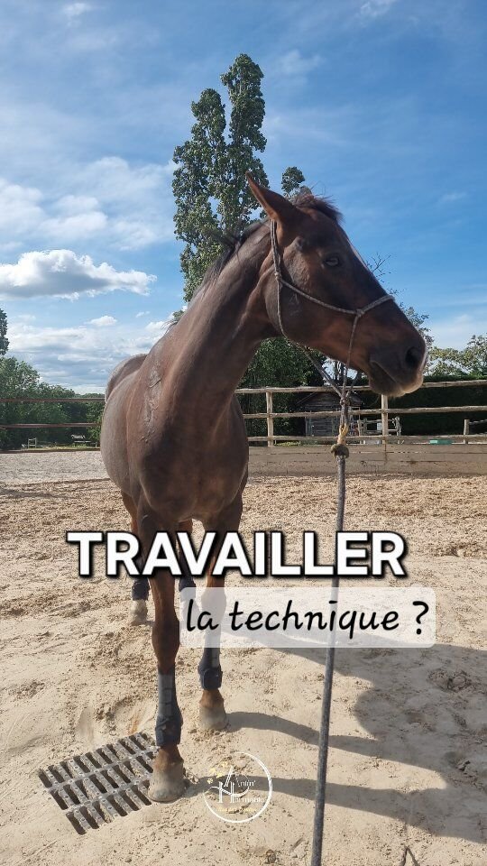 𝗧𝗿𝗮𝘃𝗮𝗶𝗹𝗹𝗲𝗿 𝗹𝗮 𝘁𝗲𝗰𝗵𝗻𝗶𝗾𝘂𝗲 🤔 ?𝗖𝗲 𝗻'𝗲𝘀𝘁 𝘃𝗿𝗮𝗶𝗺𝗲𝗻𝘁 𝗽𝗮𝘀 𝗹𝗲 + 𝗶𝗺𝗽𝗼𝗿𝘁𝗮𝗻𝘁
si l'état émotionnel associé de ton cheval
est médiocre ou même bof-bof...😵‍💫😵‍💫😵‍💫Tu entraineras juste sa 𝗿é𝘀𝗶𝗴𝗻𝗮𝘁𝗶𝗼𝗻
en mettant ton cheval en 𝗶𝗺𝗺𝗲𝗿𝘀𝗶𝗼𝗻 💥➡️ Et COUCOU la 💣 à retardement... !Mais 𝗰𝗼𝗺𝗯𝗶𝗻𝗲𝗿
🔥 𝗥𝗘𝗟Â𝗖𝗛𝗘𝗠𝗘𝗡𝗧,
🔥 𝗖𝗢𝗡𝗖𝗘𝗡𝗧𝗥𝗔𝗧𝗜𝗢𝗡,
🔥 𝗠𝗢𝗧𝗜𝗩𝗔𝗧𝗜𝗢𝗡 𝗜𝗡𝗧𝗥𝗜𝗡𝗦È𝗤𝗨𝗘
🔥 𝗲𝘁 𝗖𝗢𝗡𝗡𝗘𝗫𝗜𝗢𝗡 𝗮𝘃𝗲𝗰 𝗹'𝗵𝘂𝗺𝗮𝗶𝗻est une 𝗽𝗲𝗿𝗳𝗼𝗿𝗺𝗮𝗻𝗰𝗲 𝗱𝗲 𝗵𝗮𝘂𝘁𝗲 𝘃𝗼𝗹𝘁𝗶𝗴𝗲 🎢
que les 𝗴𝗮𝗿𝗱𝗶𝗲𝗻𝘀 𝗱'𝗮𝗻𝗶𝗺𝗮𝘂𝘅 🐎🐕🐈‍⬛🐇
𝗮𝘂 𝘀𝗲𝘂𝗶𝗹 𝗱𝗲 𝘁𝗼𝗹é𝗿𝗮𝗻𝗰𝗲 𝘃𝗶𝘁𝗲 𝗱é𝗽𝗮𝘀𝘀é
𝗺𝗲𝘀𝘂𝗿𝗲𝗻𝘁 𝗽𝗹𝗲𝗶𝗻𝗲𝗺𝗲𝗻𝘁 😉 !Alors on fait comment 🤯 ?C'est 🎁 :
𝗖𝗼𝗺𝗺𝗲𝗻𝗰𝗲 𝗽𝗹𝘂𝘁ô𝘁 à 𝗹𝗲 𝗺𝗲𝘁𝘁𝗿𝗲
- 𝗲𝘁 𝗹𝗲 𝗴𝗮𝗿𝗱𝗲𝗿 ! -
𝗲𝗻 𝘀𝗶𝘁𝘂𝗮𝘁𝗶𝗼𝗻 𝗱'𝗮𝗽𝗽𝗿𝗲𝗻𝘁𝗶𝘀𝘀𝗮𝗴𝗲𝘀 !💡 𝗧𝘂 𝘃𝗲𝘂𝘅 𝗲𝗻 𝘀𝗮𝘃𝗼𝗶𝗿 + 𝗽𝗼𝘂𝗿 𝗹'𝗮𝗽𝗽𝗹𝗶𝗾𝘂𝗲𝗿 𝗰𝗼𝗻𝗰𝗿è𝘁𝗲𝗺𝗲𝗻𝘁 𝗮𝘃𝗲𝗰 𝘁𝗼𝗻 é𝗾𝘂𝗶𝗱é 𝗲𝘁 𝗴𝗮𝗴𝗻𝗲𝗿 𝗲𝗻 𝘀é𝗿é𝗻𝗶𝘁é 𝗹𝗼𝗿𝘀 𝗱𝗲 𝘃𝗼𝘀 𝗺𝗼𝗺𝗲𝗻𝘁𝘀 𝗲𝗻𝘀𝗲𝗺𝗯𝗹𝗲 ?🙋🏻‍♀️ Contacte-moi directement en commentaire 💬 ou en mp 📨 !#comportementalisteequin #methodespositives #methodelima #comportementalisteanimalier #comportementducheval