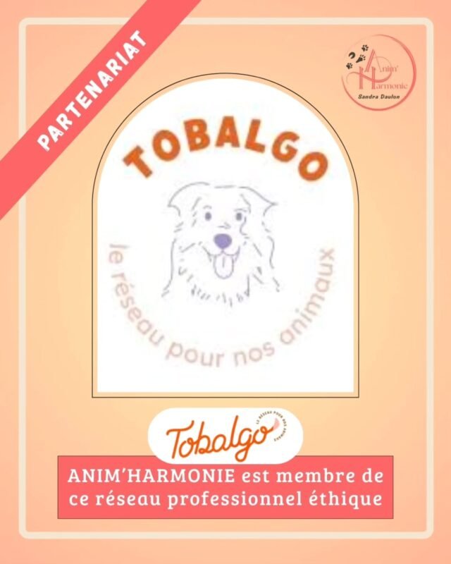 🔅 Je suis heureuse de vous annoncer que j'ai rejoins le réseau professionnel TOBALGO @tobalgo, une plateforme connectant pets-parents et experts animaliers éthiques.🔅 Si vous recherchez un professionnel près de chez vous, responsable et de confiance pour le bien-être de votre animal, c'est là que vous le trouverez !🔅 Merci à Coraline et Mélanie pour leur confiance et leur accueil au sein de cette meute engagée... pour Eux 🐾❤️‍🔥#bienveillanceeducative #bienetreanimal #communautebienveillante #ethiqueanimale #methodespositives #petparents #comportementalisteanimalier #comportementalistefelin #comportementalistelapin #comprtementalisteequin #comportementalistecanin #comportementanimal
